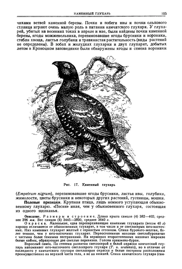 Коллектив авторов - Птицы Советского Союза. Том 4 - Страница № 105 Коллектив авторов - Птицы Советского Союза. Том 4 - Страница № 105