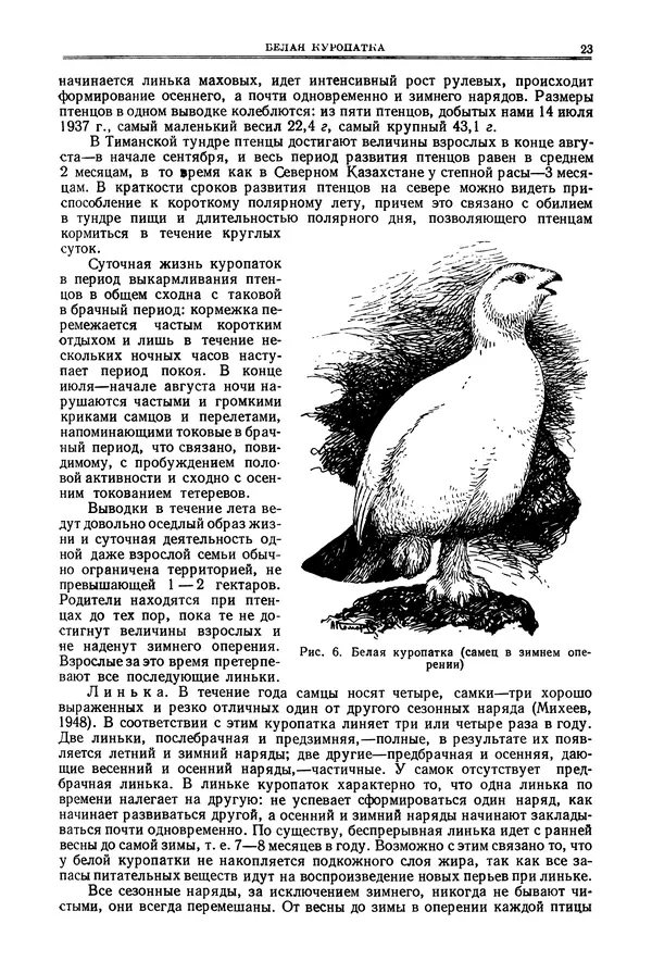 Коллектив авторов - Птицы Советского Союза. Том 4 - Страница № 23 Коллектив авторов - Птицы Советского Союза. Том 4 - Страница № 23