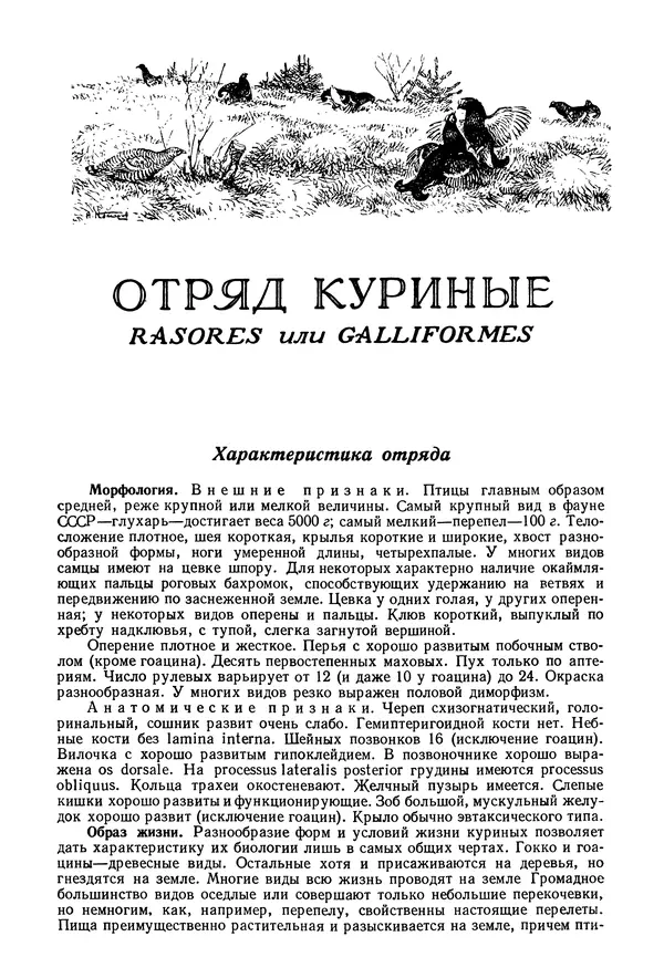 Коллектив авторов - Птицы Советского Союза. Том 4 - Страница № 3 Коллектив авторов - Птицы Советского Союза. Том 4 - Страница № 3