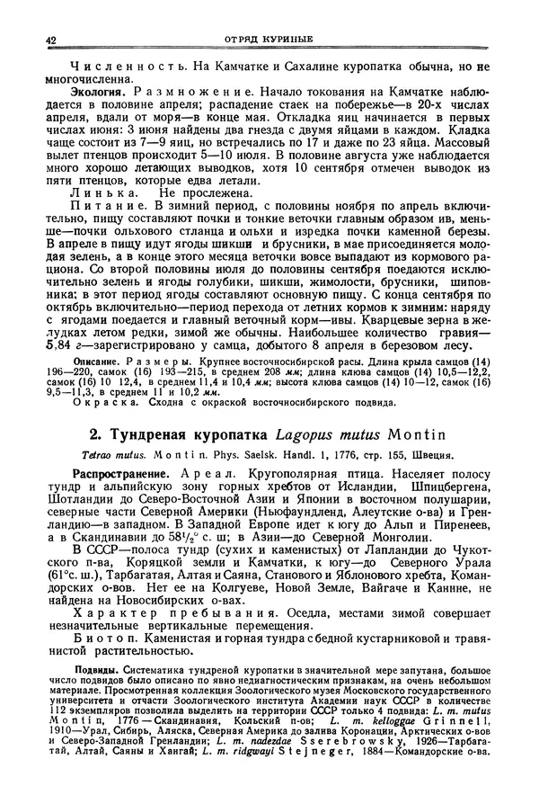Коллектив авторов - Птицы Советского Союза. Том 4 - Страница № 42 Коллектив авторов - Птицы Советского Союза. Том 4 - Страница № 42