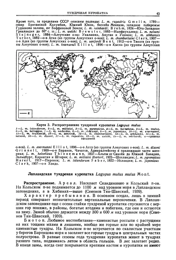 Коллектив авторов - Птицы Советского Союза. Том 4 - Страница № 43 Коллектив авторов - Птицы Советского Союза. Том 4 - Страница № 43