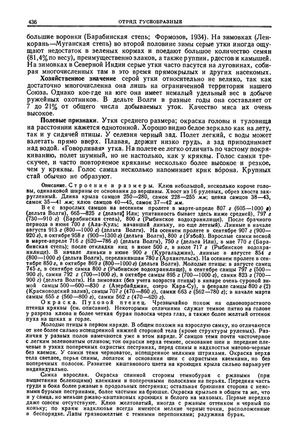 Коллектив авторов - Птицы Советского Союза. Том 4 - Страница № 111 Коллектив авторов - Птицы Советского Союза. Том 4 - Страница № 111