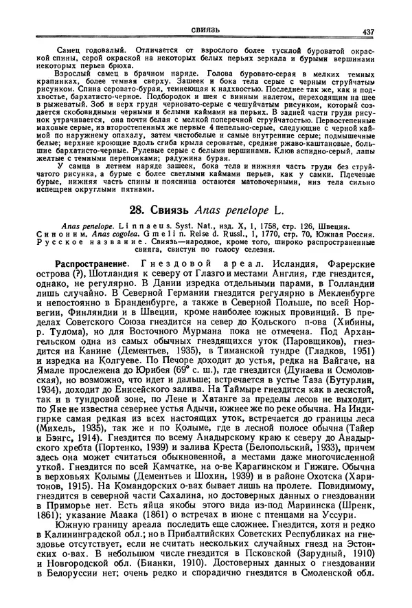 Коллектив авторов - Птицы Советского Союза. Том 4 - Страница № 112 Коллектив авторов - Птицы Советского Союза. Том 4 - Страница № 112
