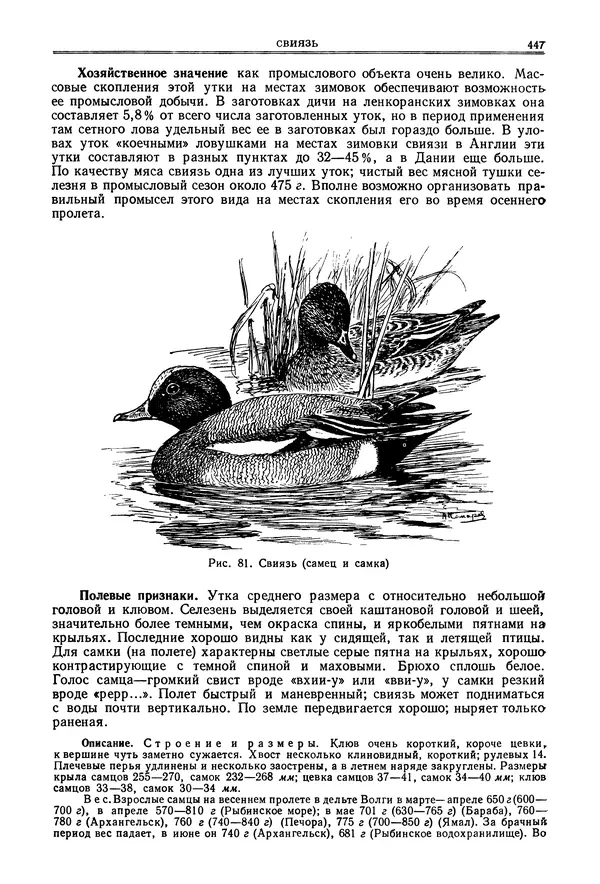 Коллектив авторов - Птицы Советского Союза. Том 4 - Страница № 122 Коллектив авторов - Птицы Советского Союза. Том 4 - Страница № 122