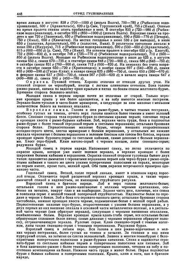 Коллектив авторов - Птицы Советского Союза. Том 4 - Страница № 123 Коллектив авторов - Птицы Советского Союза. Том 4 - Страница № 123