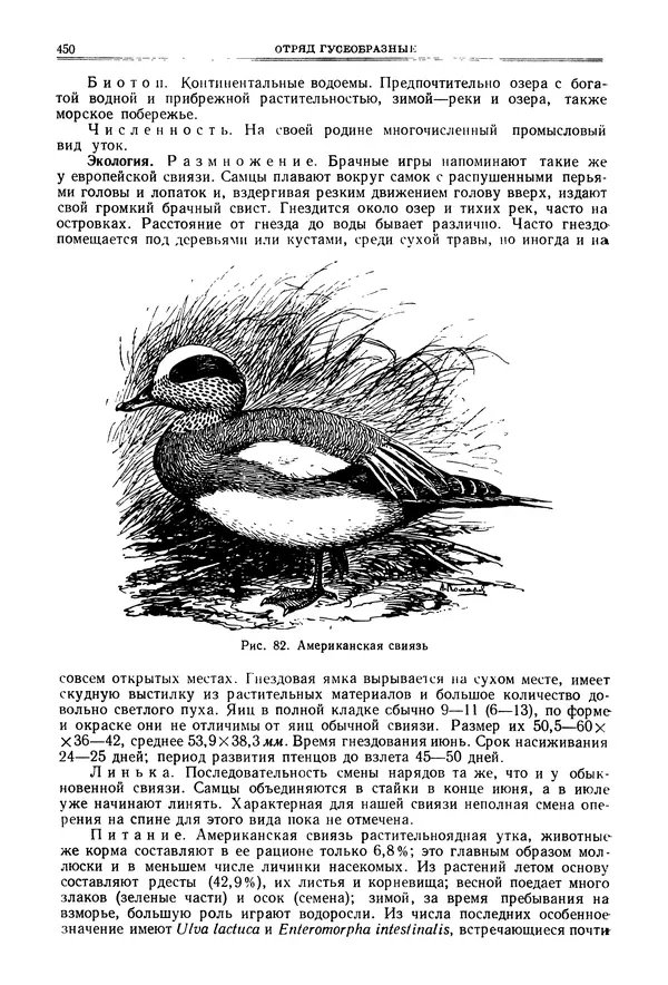 Коллектив авторов - Птицы Советского Союза. Том 4 - Страница № 125 Коллектив авторов - Птицы Советского Союза. Том 4 - Страница № 125