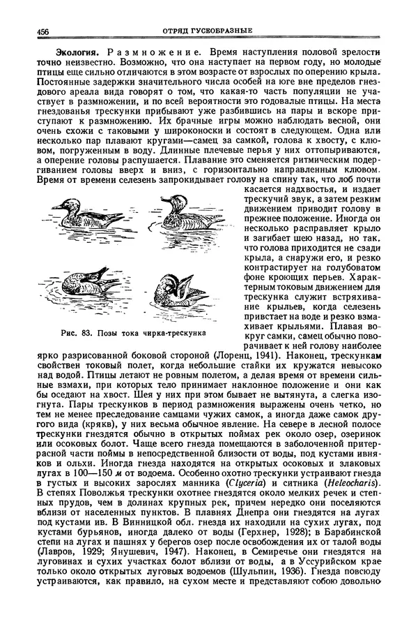 Коллектив авторов - Птицы Советского Союза. Том 4 - Страница № 131 Коллектив авторов - Птицы Советского Союза. Том 4 - Страница № 131