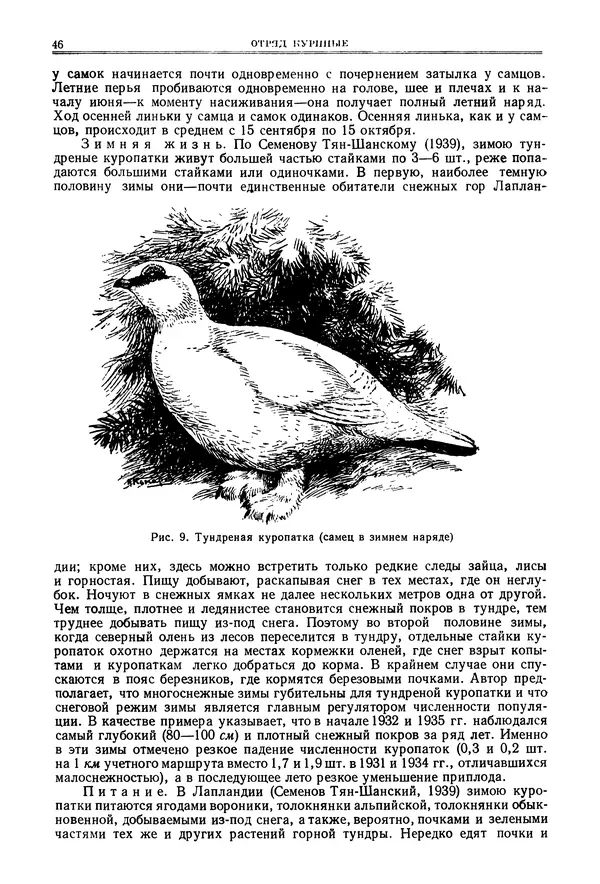 Коллектив авторов - Птицы Советского Союза. Том 4 - Страница № 46 Коллектив авторов - Птицы Советского Союза. Том 4 - Страница № 46