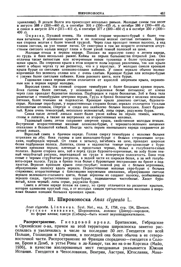 Коллектив авторов - Птицы Советского Союза. Том 4 - Страница № 136 Коллектив авторов - Птицы Советского Союза. Том 4 - Страница № 136