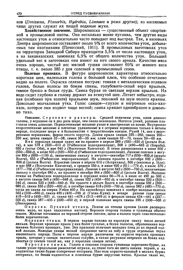 Коллектив авторов - Птицы Советского Союза. Том 4 - Страница № 145 Коллектив авторов - Птицы Советского Союза. Том 4 - Страница № 145