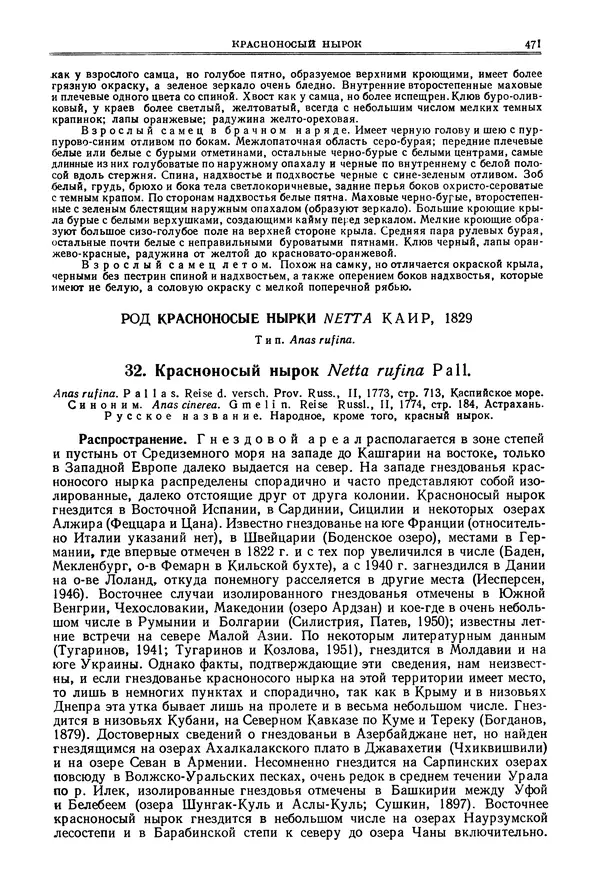 Коллектив авторов - Птицы Советского Союза. Том 4 - Страница № 146 Коллектив авторов - Птицы Советского Союза. Том 4 - Страница № 146