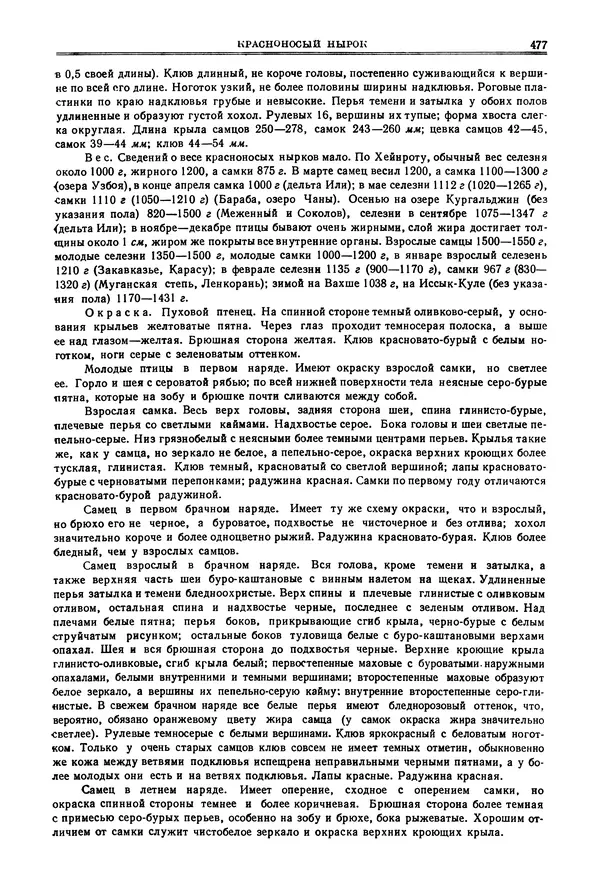 Коллектив авторов - Птицы Советского Союза. Том 4 - Страница № 152 Коллектив авторов - Птицы Советского Союза. Том 4 - Страница № 152