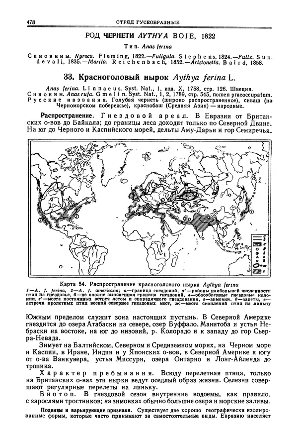 Коллектив авторов - Птицы Советского Союза. Том 4 - Страница № 153 Коллектив авторов - Птицы Советского Союза. Том 4 - Страница № 153