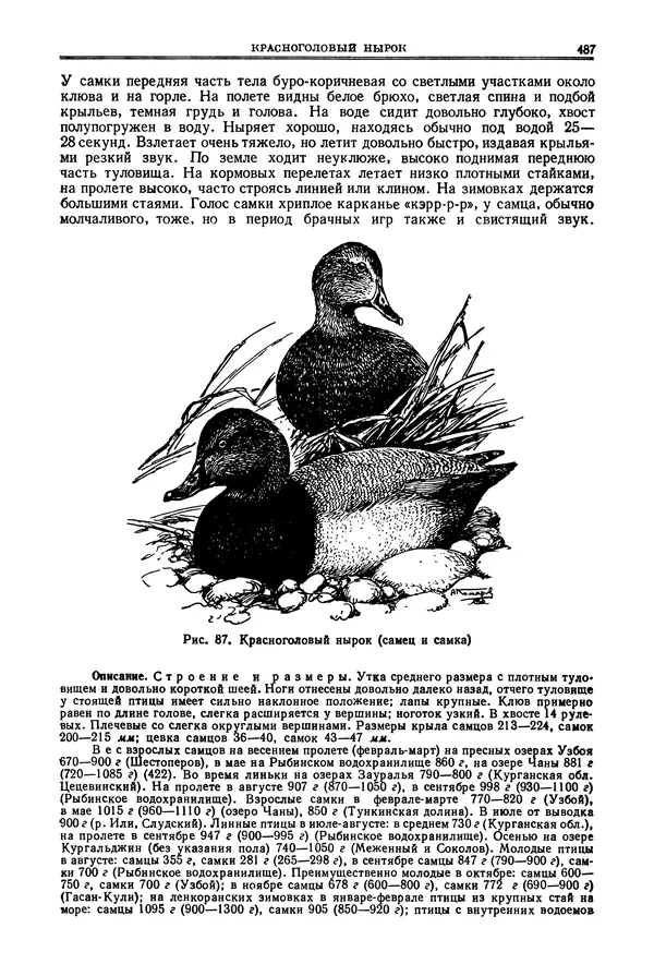 Коллектив авторов - Птицы Советского Союза. Том 4 - Страница № 162 Коллектив авторов - Птицы Советского Союза. Том 4 - Страница № 162