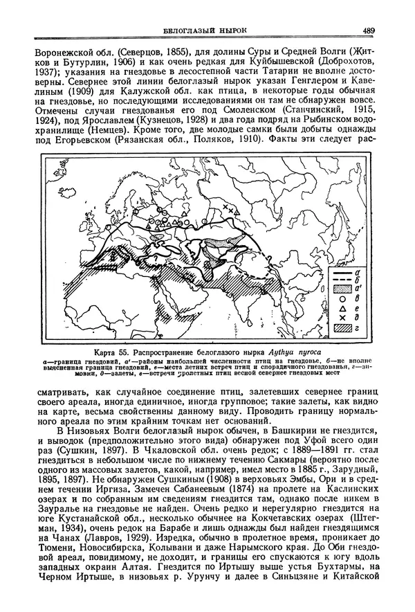 Коллектив авторов - Птицы Советского Союза. Том 4 - Страница № 164 Коллектив авторов - Птицы Советского Союза. Том 4 - Страница № 164
