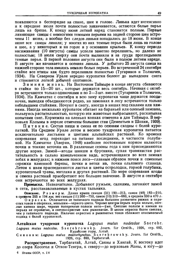 Коллектив авторов - Птицы Советского Союза. Том 4 - Страница № 49 Коллектив авторов - Птицы Советского Союза. Том 4 - Страница № 49