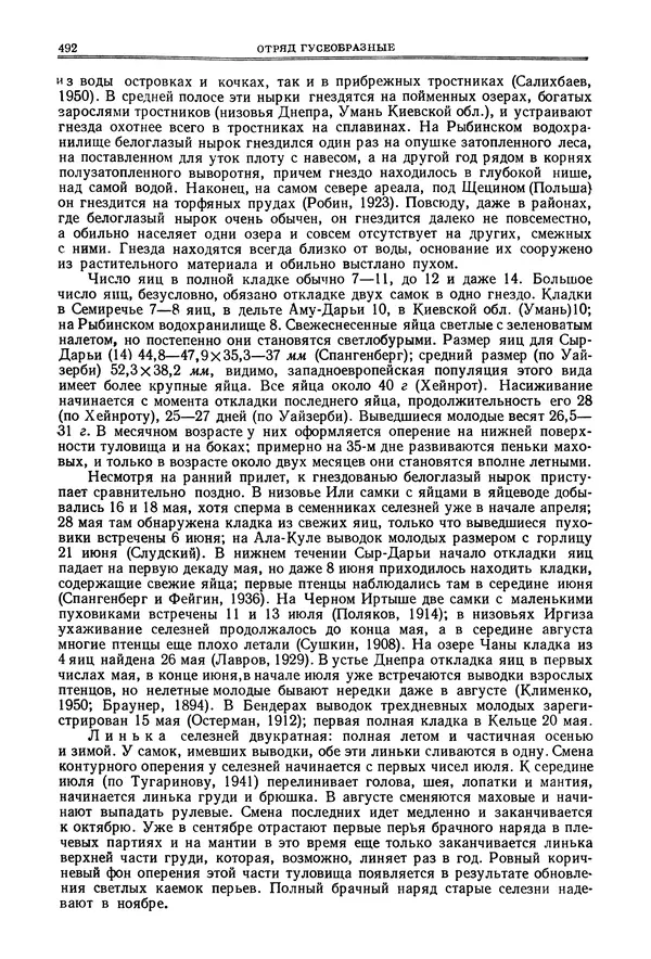 Коллектив авторов - Птицы Советского Союза. Том 4 - Страница № 167 Коллектив авторов - Птицы Советского Союза. Том 4 - Страница № 167