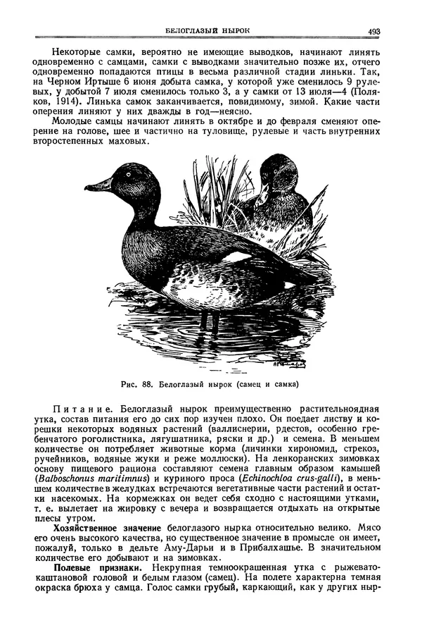 Коллектив авторов - Птицы Советского Союза. Том 4 - Страница № 168 Коллектив авторов - Птицы Советского Союза. Том 4 - Страница № 168