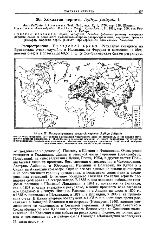 Коллектив авторов - Птицы Советского Союза. Том 4 - Страница № 172 Коллектив авторов - Птицы Советского Союза. Том 4 - Страница № 172