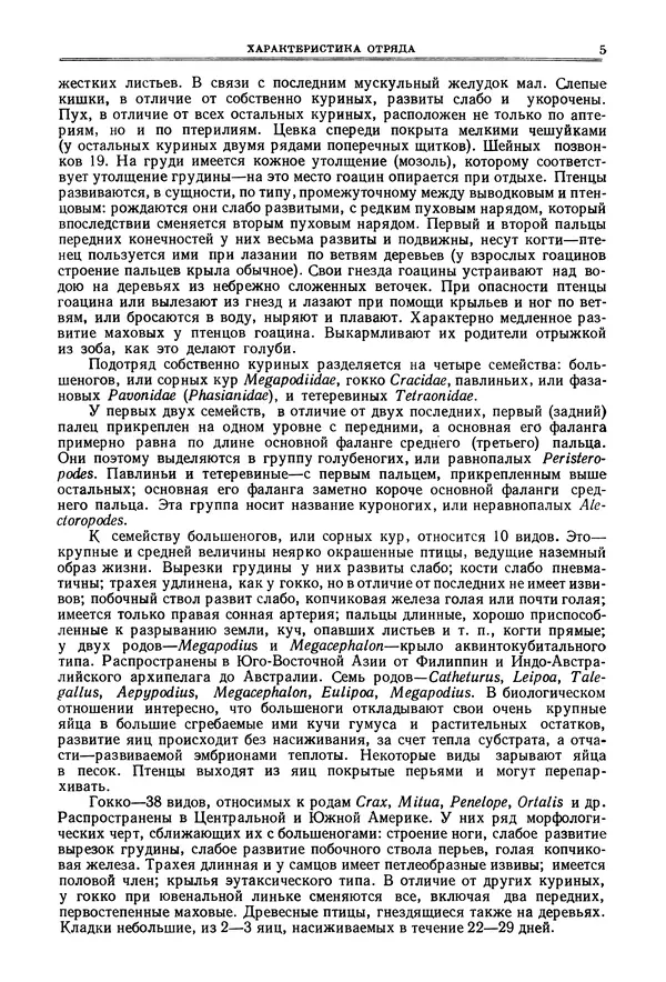 Коллектив авторов - Птицы Советского Союза. Том 4 - Страница № 5 Коллектив авторов - Птицы Советского Союза. Том 4 - Страница № 5
