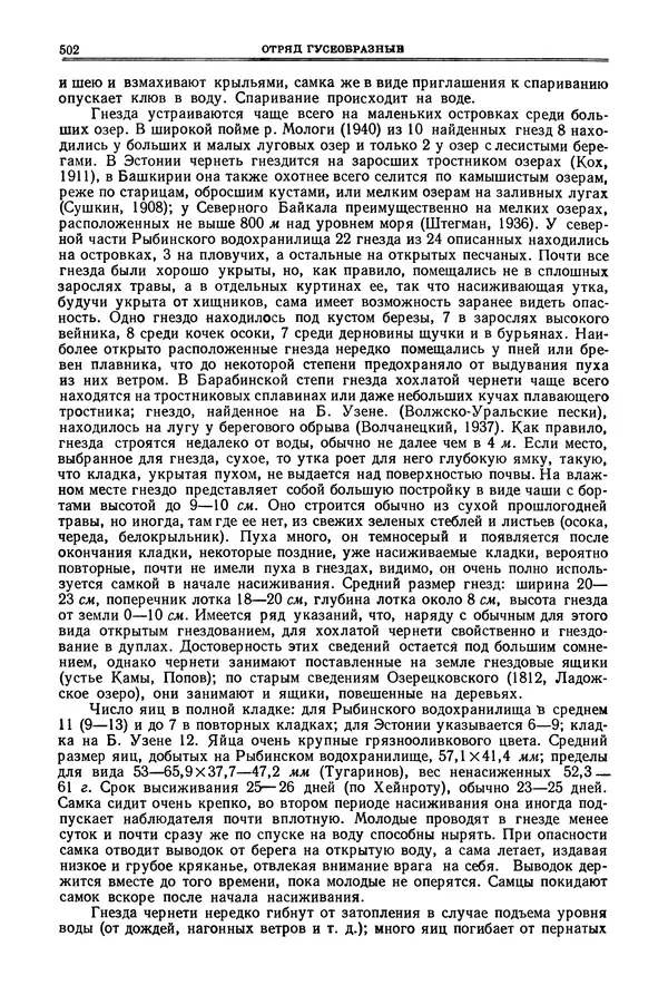 Коллектив авторов - Птицы Советского Союза. Том 4 - Страница № 177 Коллектив авторов - Птицы Советского Союза. Том 4 - Страница № 177