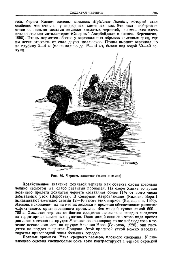 Коллектив авторов - Птицы Советского Союза. Том 4 - Страница № 180 Коллектив авторов - Птицы Советского Союза. Том 4 - Страница № 180