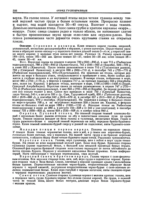 Коллектив авторов - Птицы Советского Союза. Том 4 - Страница № 181 Коллектив авторов - Птицы Советского Союза. Том 4 - Страница № 181