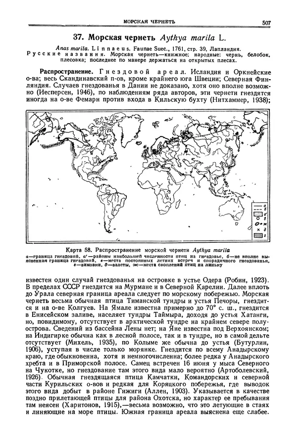Коллектив авторов - Птицы Советского Союза. Том 4 - Страница № 182 Коллектив авторов - Птицы Советского Союза. Том 4 - Страница № 182