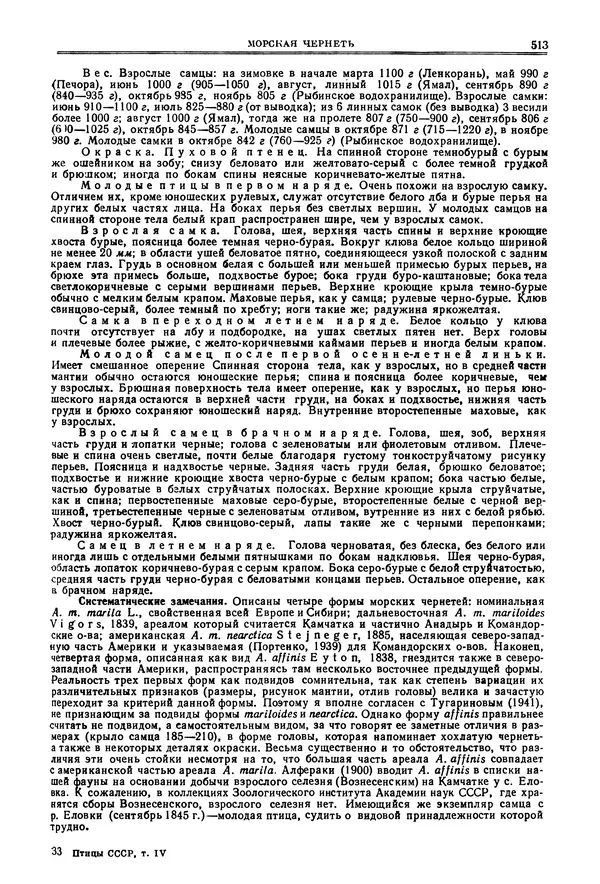 Коллектив авторов - Птицы Советского Союза. Том 4 - Страница № 188 Коллектив авторов - Птицы Советского Союза. Том 4 - Страница № 188