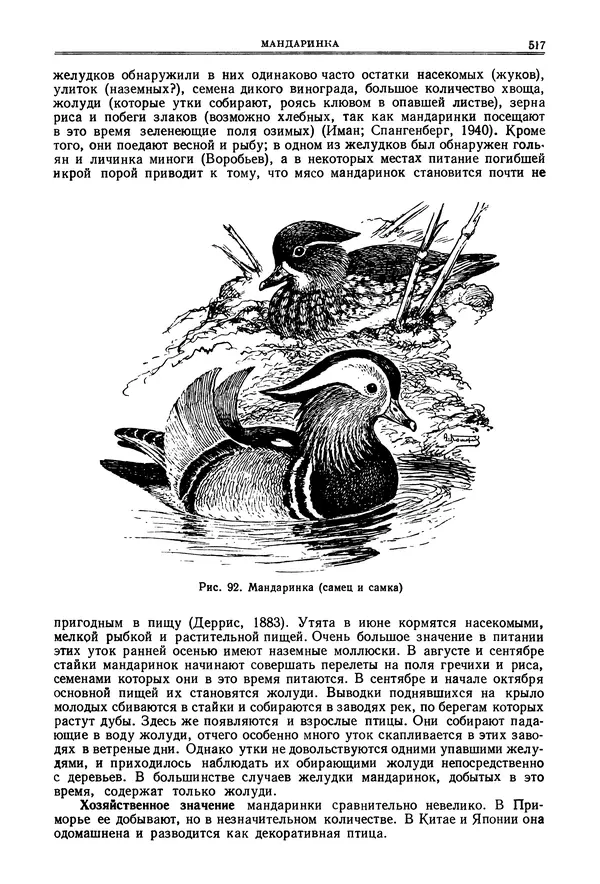 Коллектив авторов - Птицы Советского Союза. Том 4 - Страница № 192 Коллектив авторов - Птицы Советского Союза. Том 4 - Страница № 192