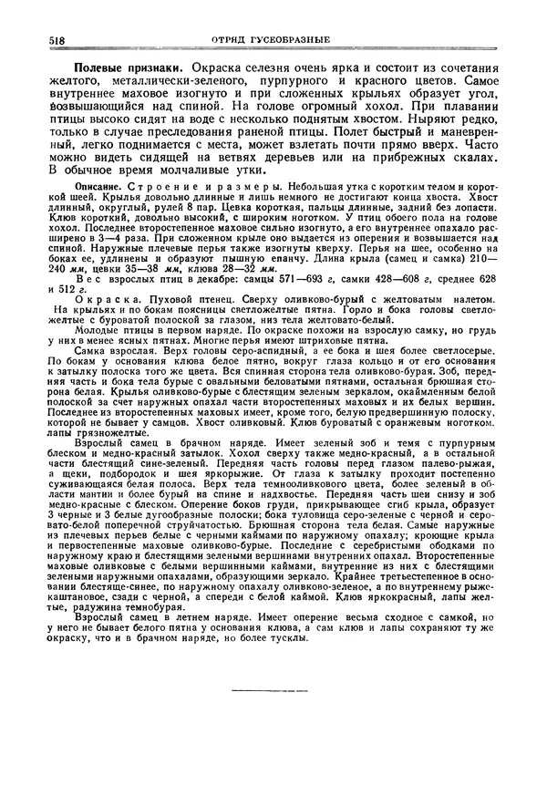 Коллектив авторов - Птицы Советского Союза. Том 4 - Страница № 193 Коллектив авторов - Птицы Советского Союза. Том 4 - Страница № 193