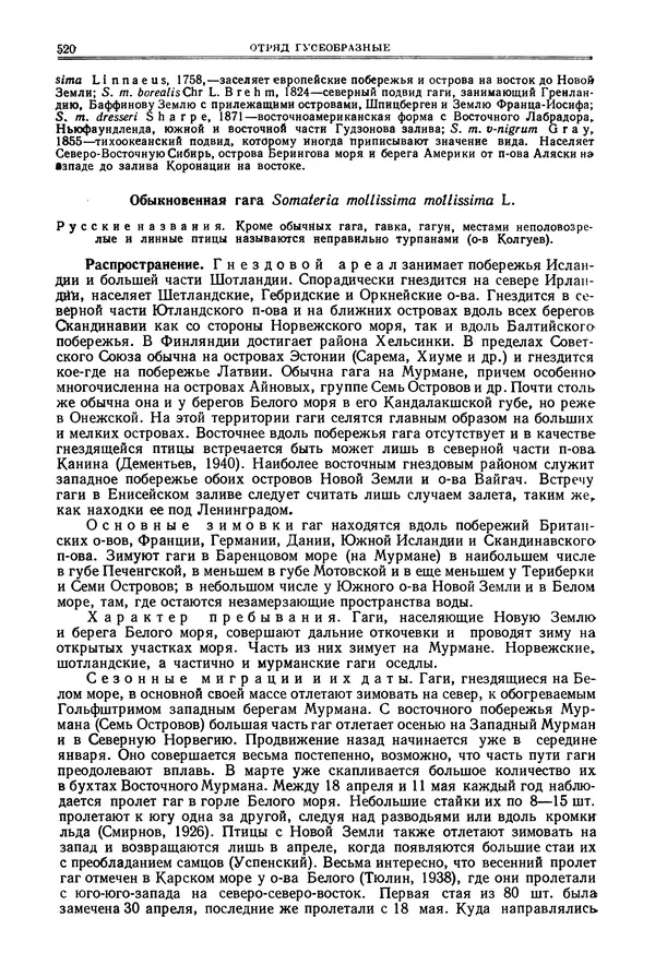 Коллектив авторов - Птицы Советского Союза. Том 4 - Страница № 195 Коллектив авторов - Птицы Советского Союза. Том 4 - Страница № 195