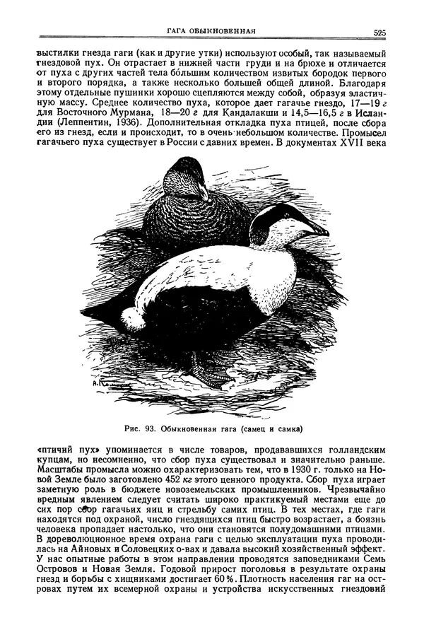 Коллектив авторов - Птицы Советского Союза. Том 4 - Страница № 200 Коллектив авторов - Птицы Советского Союза. Том 4 - Страница № 200