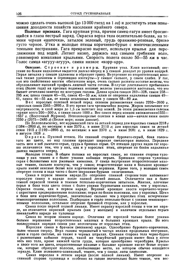 Коллектив авторов - Птицы Советского Союза. Том 4 - Страница № 201 Коллектив авторов - Птицы Советского Союза. Том 4 - Страница № 201