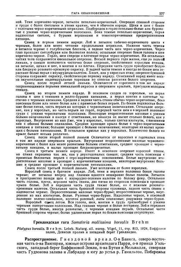 Коллектив авторов - Птицы Советского Союза. Том 4 - Страница № 202 Коллектив авторов - Птицы Советского Союза. Том 4 - Страница № 202