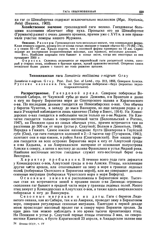 Коллектив авторов - Птицы Советского Союза. Том 4 - Страница № 204 Коллектив авторов - Птицы Советского Союза. Том 4 - Страница № 204