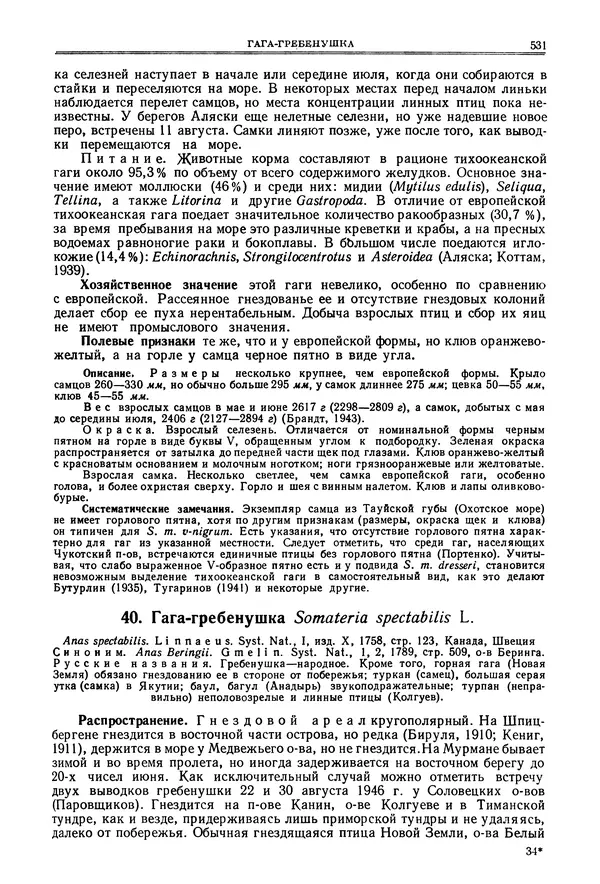 Коллектив авторов - Птицы Советского Союза. Том 4 - Страница № 206 Коллектив авторов - Птицы Советского Союза. Том 4 - Страница № 206