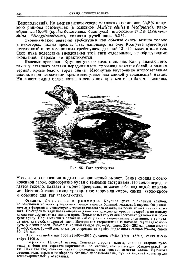 Коллектив авторов - Птицы Советского Союза. Том 4 - Страница № 211 Коллектив авторов - Птицы Советского Союза. Том 4 - Страница № 211
