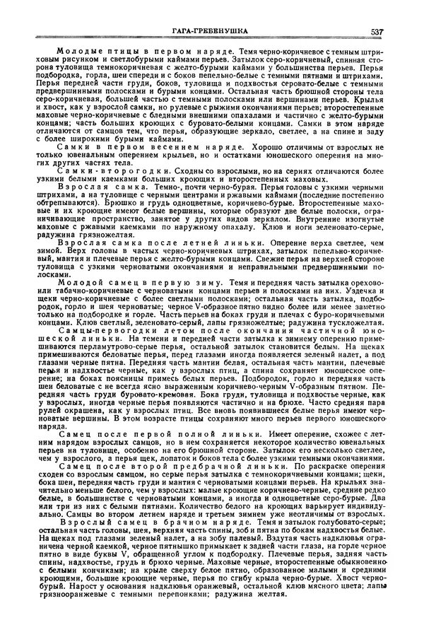 Коллектив авторов - Птицы Советского Союза. Том 4 - Страница № 212 Коллектив авторов - Птицы Советского Союза. Том 4 - Страница № 212