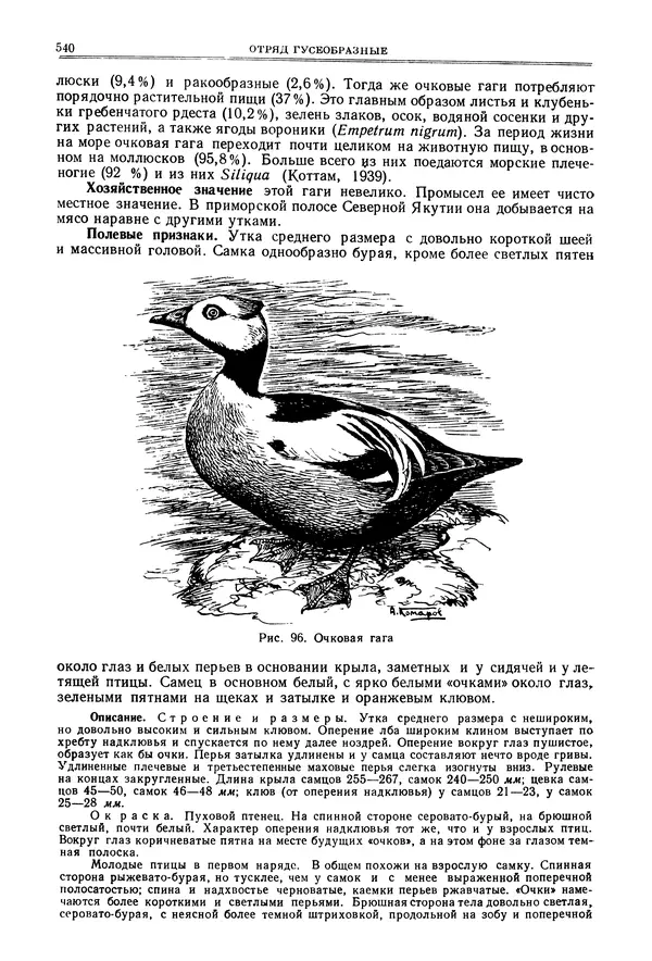 Коллектив авторов - Птицы Советского Союза. Том 4 - Страница № 215 Коллектив авторов - Птицы Советского Союза. Том 4 - Страница № 215