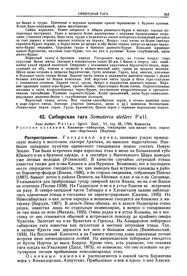 Коллектив авторов - Птицы Советского Союза. Том 4 - Страница № 216 Коллектив авторов - Птицы Советского Союза. Том 4 - Страница № 216