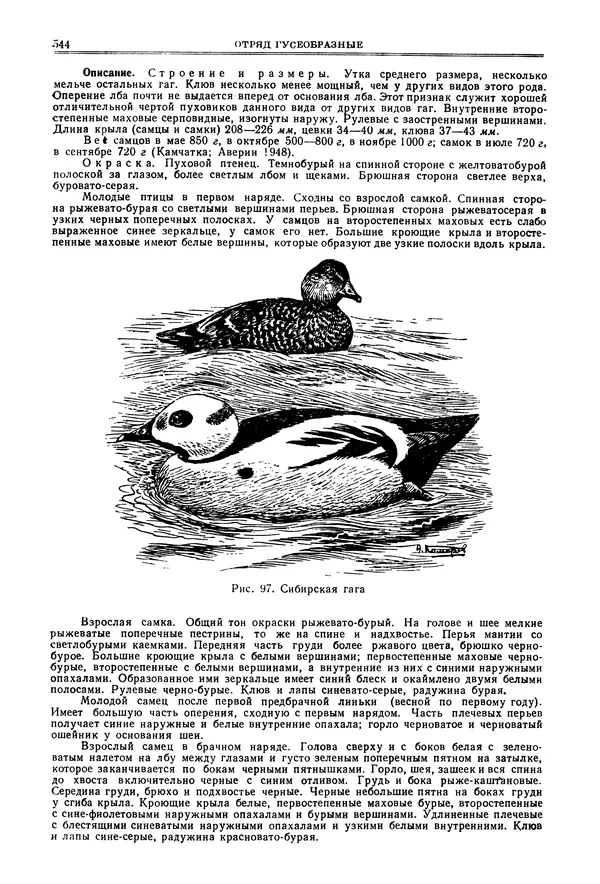 Коллектив авторов - Птицы Советского Союза. Том 4 - Страница № 219 Коллектив авторов - Птицы Советского Союза. Том 4 - Страница № 219
