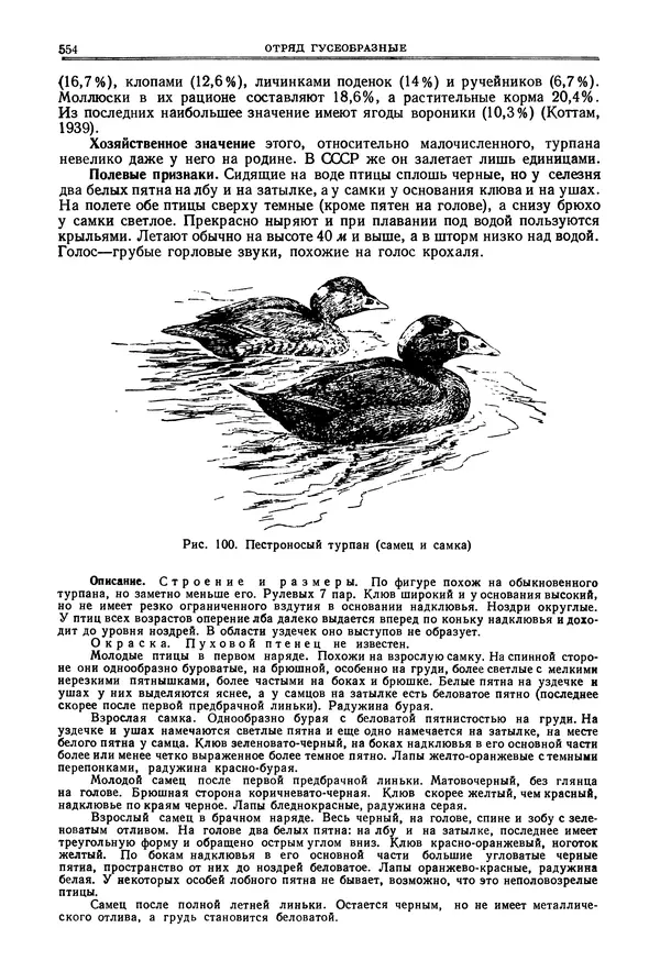 Коллектив авторов - Птицы Советского Союза. Том 4 - Страница № 229 Коллектив авторов - Птицы Советского Союза. Том 4 - Страница № 229