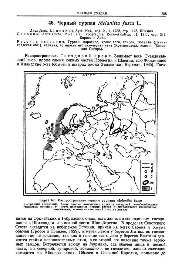 Коллектив авторов - Птицы Советского Союза. Том 4 - Страница № 230 Коллектив авторов - Птицы Советского Союза. Том 4 - Страница № 230