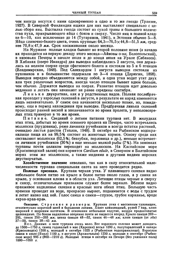 Коллектив авторов - Птицы Советского Союза. Том 4 - Страница № 234 Коллектив авторов - Птицы Советского Союза. Том 4 - Страница № 234