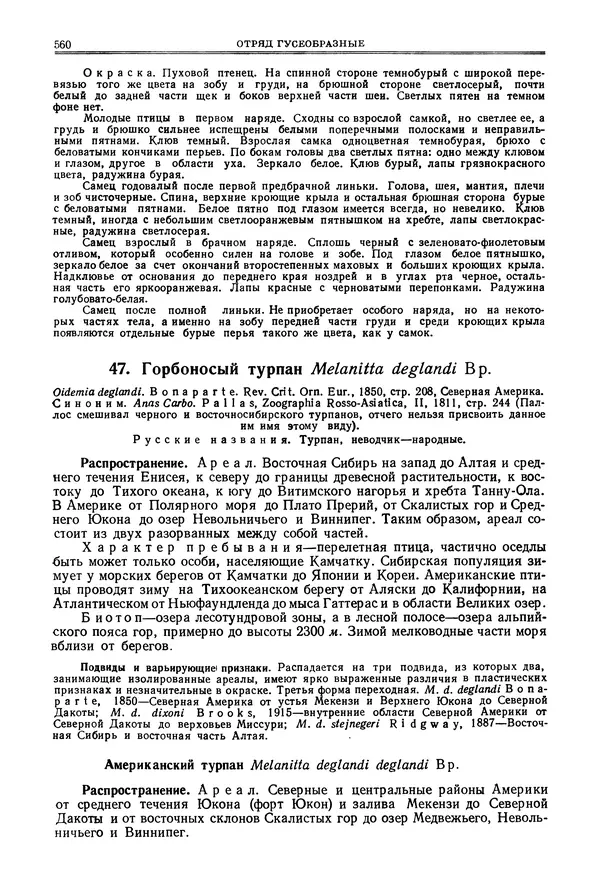 Коллектив авторов - Птицы Советского Союза. Том 4 - Страница № 235 Коллектив авторов - Птицы Советского Союза. Том 4 - Страница № 235