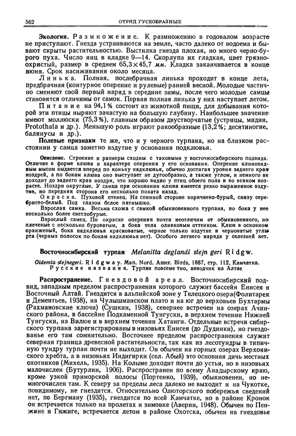 Коллектив авторов - Птицы Советского Союза. Том 4 - Страница № 237 Коллектив авторов - Птицы Советского Союза. Том 4 - Страница № 237