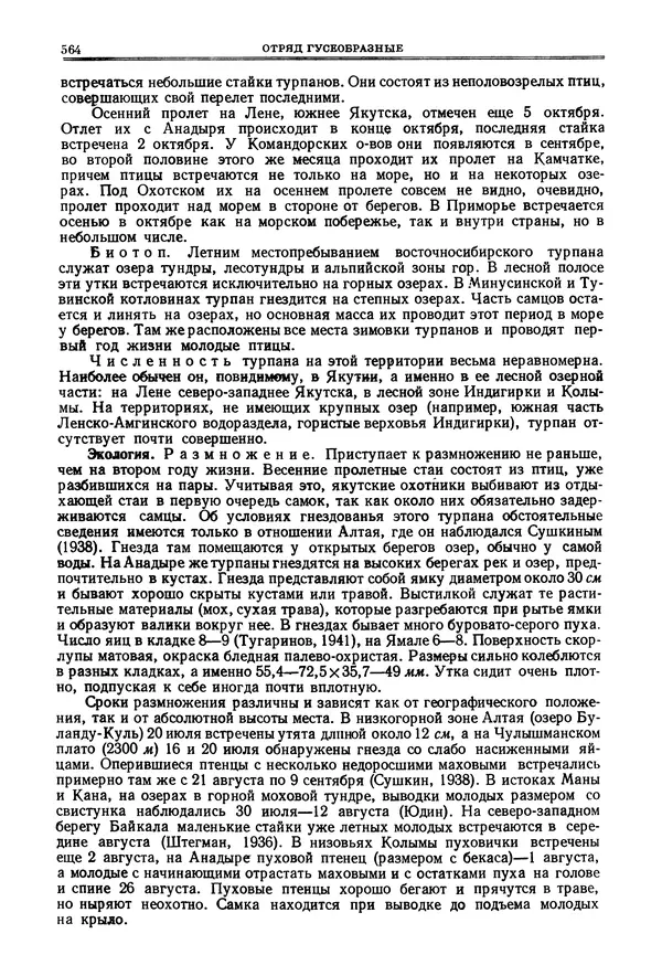 Коллектив авторов - Птицы Советского Союза. Том 4 - Страница № 239 Коллектив авторов - Птицы Советского Союза. Том 4 - Страница № 239