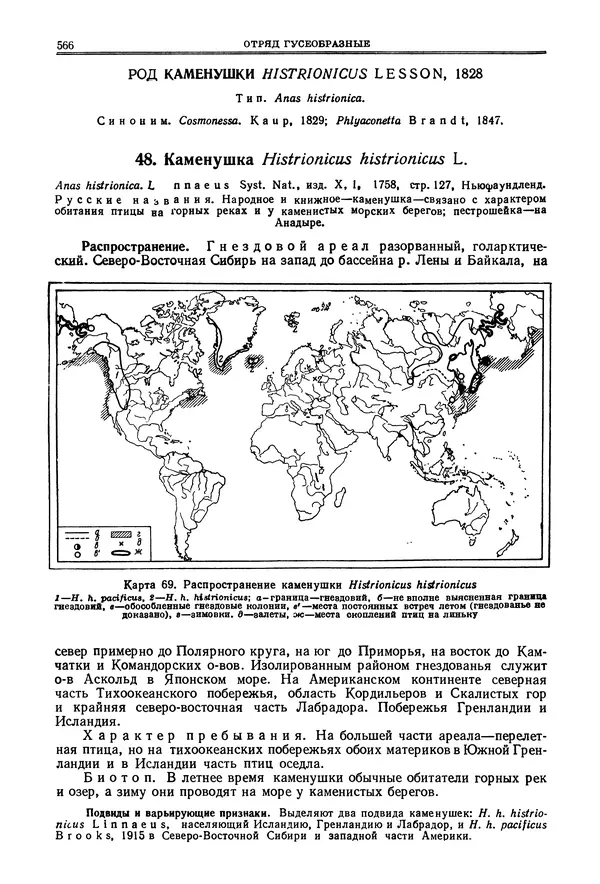 Коллектив авторов - Птицы Советского Союза. Том 4 - Страница № 241 Коллектив авторов - Птицы Советского Союза. Том 4 - Страница № 241