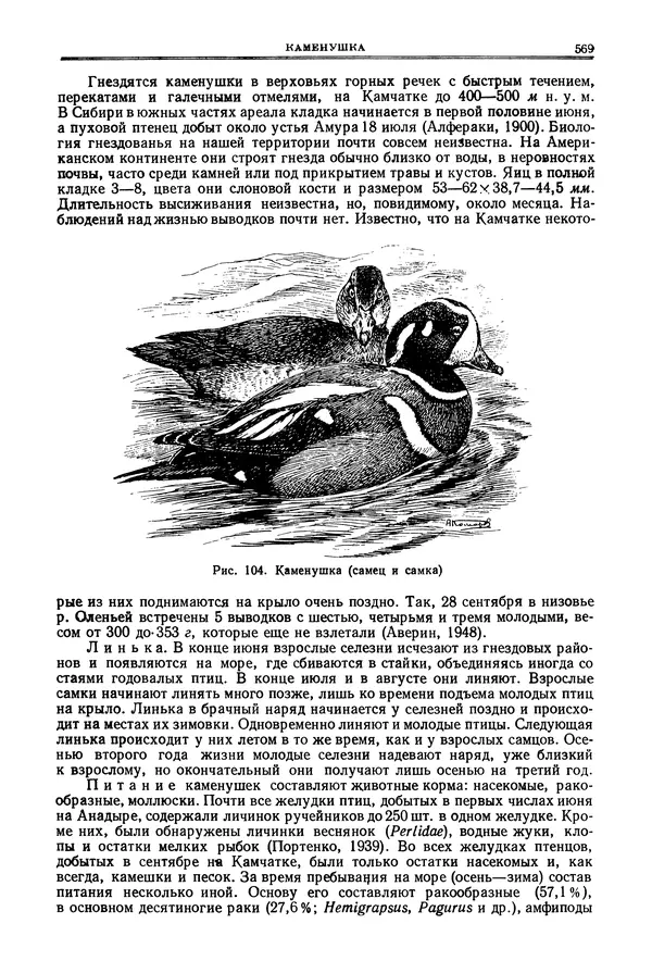 Коллектив авторов - Птицы Советского Союза. Том 4 - Страница № 244 Коллектив авторов - Птицы Советского Союза. Том 4 - Страница № 244